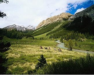 传闻：《巫师3：狂猎》次世代实体版本月推出